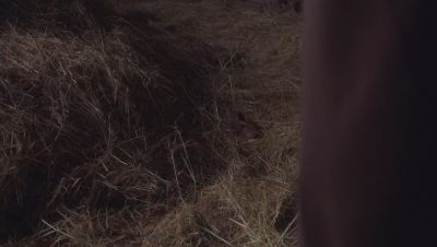 Click to view full size image
==============
000_001_0620.jpeg 000_001_0620.jpeg