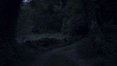 000_001_0754.jpeg