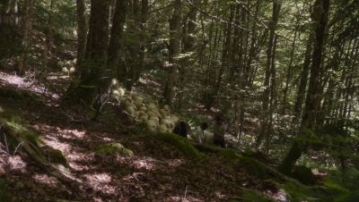 000_001_2681.jpeg