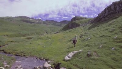 000_001_3020.jpeg