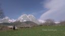 000_001_0166.jpeg
