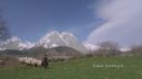 000_001_0167.jpeg