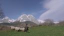 000_001_0168.jpeg