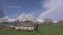 000_001_0169.jpeg