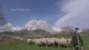 000_001_0170.jpeg