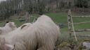 000_001_0178.jpeg