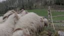 000_001_0179.jpeg