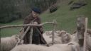 000_001_0180.jpeg