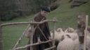 000_001_0182.jpeg