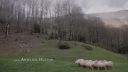 000_001_0186.jpeg