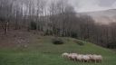 000_001_0187.jpeg