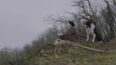 000_001_0221.jpeg
