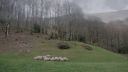 000_001_0222.jpeg