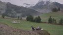 000_001_0230.jpeg