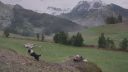 000_001_0231.jpeg