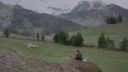 000_001_0233.jpeg