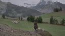 000_001_0235.jpeg