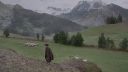 000_001_0236.jpeg
