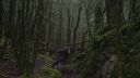 000_001_0347.jpeg