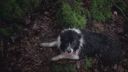 000_001_0355.jpeg