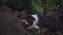 000_001_0357.jpeg