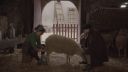 000_001_0557.jpeg