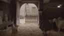 000_001_0574.jpeg