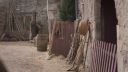 000_001_0584.jpeg
