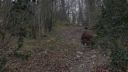 Filename=000_001_0906.jpeg
Filesize=491KiB
Dimensions=1920x1088
Date added=Apr 17, 2026 000_001_0906.jpeg