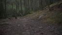 Filename=000_001_0910.jpeg
Filesize=283KiB
Dimensions=1920x1088
Date added=Apr 17, 2026 000_001_0910.jpeg