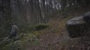 Filename=000_001_0918.jpeg
Filesize=451KiB
Dimensions=1920x1088
Date added=Apr 17, 2026 000_001_0918.jpeg