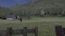 000_001_1190.jpeg