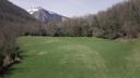 000_001_1402.jpeg