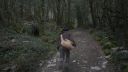 000_001_1450.jpeg