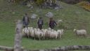 Filename=000_001_1746.jpeg
Filesize=607KiB
Dimensions=1920x1088
Date added=Apr 17, 2026 000_001_1746.jpeg