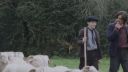 000_001_1768.jpeg