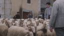 000_001_2631.jpeg