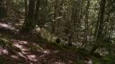 000_001_2681.jpeg