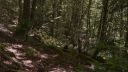 000_001_2682.jpeg