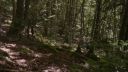 000_001_2684.jpeg