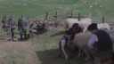 000_001_2764.jpeg