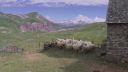 000_001_3046.jpeg