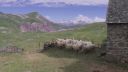 000_001_3047.jpeg