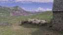 000_001_3049.jpeg