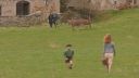 000_001_3258.jpeg
