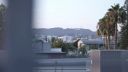 000_001_0139.jpeg