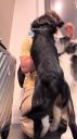 000_001_0021.jpeg