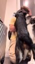 000_001_0022.jpeg