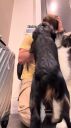 000_001_0023.jpeg