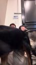 000_001_0086.jpeg
